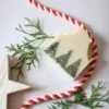 Christmas Tree Farm Soap